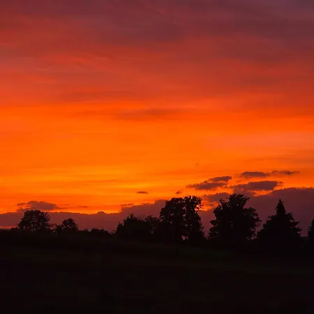 Apartment Pfauenhof *