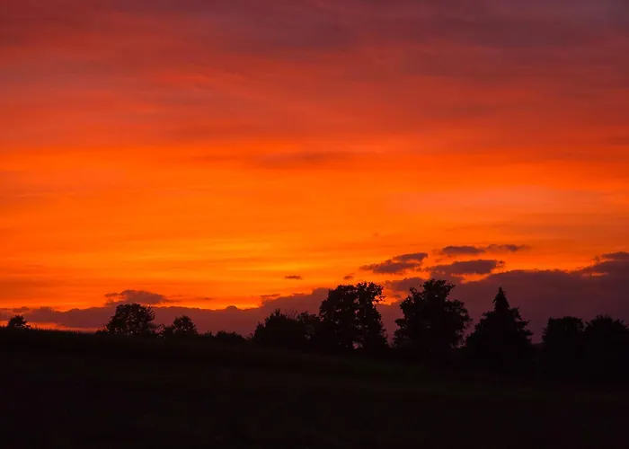 Apartment Pfauenhof *