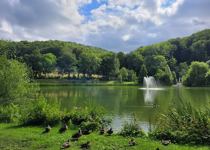 Διαμέρισμα Pfauenhof